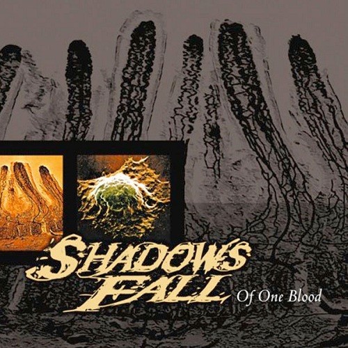 Shadows Fall - Of One Blood